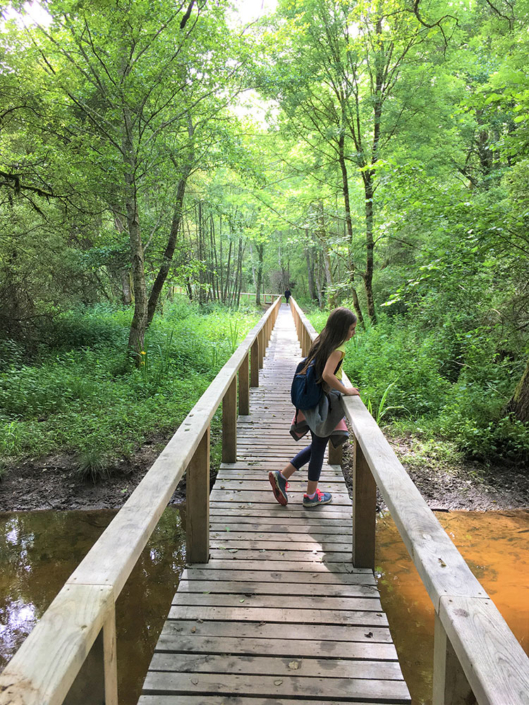 Parcours Terra Aventura à La Barde La Coquille