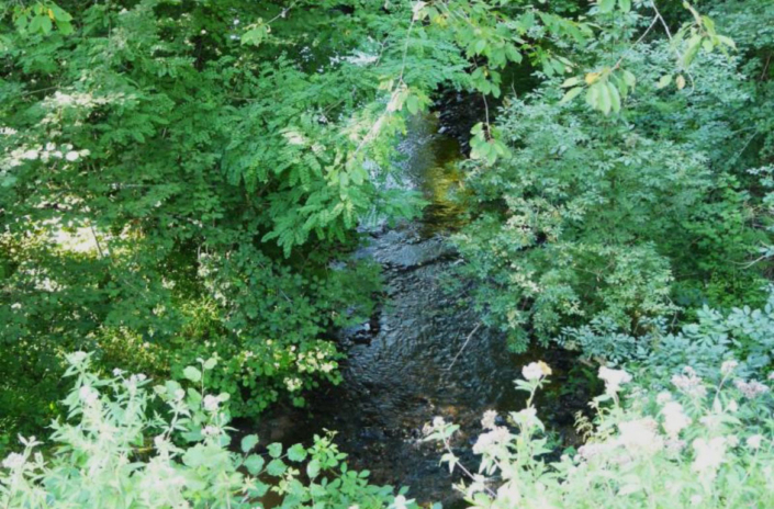 Arboretum de Pouyouleix