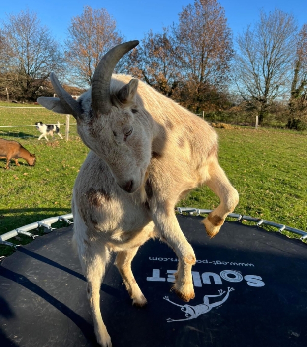 Ferme de la Tuilière à Nantheuil